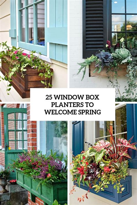 Image result for Window Box
