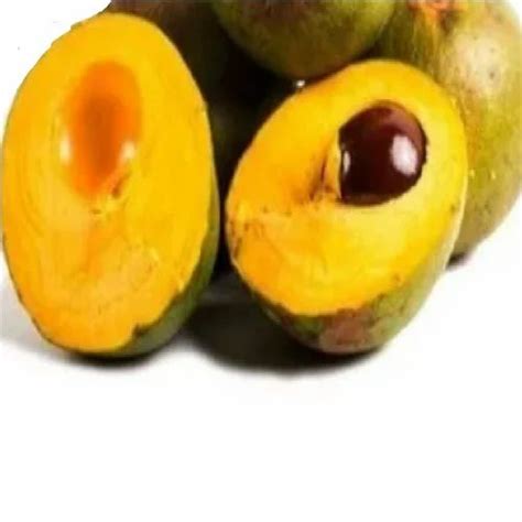 Organic Herbal Extracts - Elder Berry Extract Manufacturer from Delhi