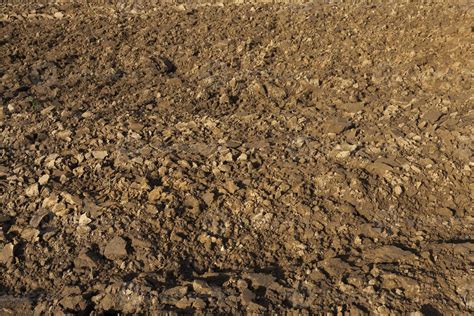 Ground Loop Currents 的图像结果