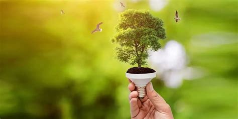 NexGen Energia to Invest Rs 150 bn in 5,000 Green Diesel, CBG Pumps