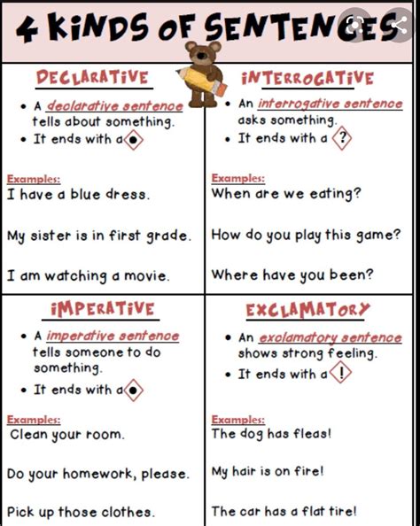 how many kinds of sentences are there? give one example each - Brainly.in