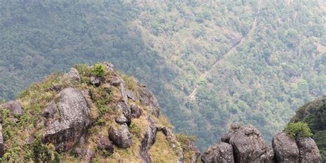 Image result for Hard Shell Camera Backpack