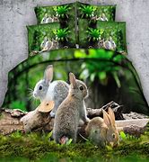 Image result for Rabbit Bedding