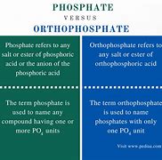 Image result for orthophosphate