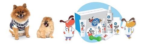 Buy Captain Zack Dog Groom Box for All Breeds | Ultimate 8-in-1, Head ...