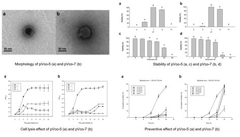 Isolation and Characterization of Two Bacteriophages and Their ...
