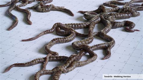 Alien Egg Inserts 的图像结果