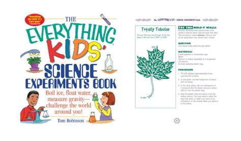 Image result for Physics Experiments for Children Book