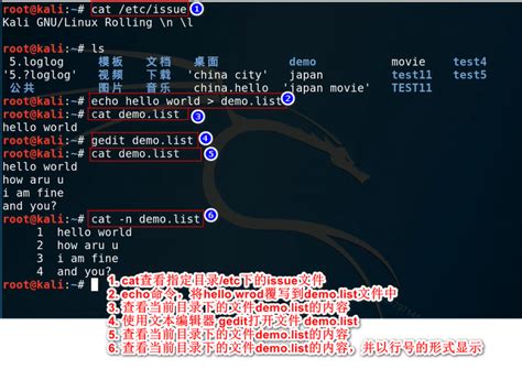 Linux命令详解：cat、more、less命令 结合grep 基本可以查看所有的文件