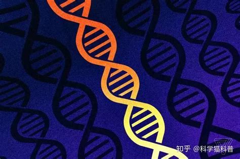 科学实验：意念影响DNA_哔哩哔哩_bilibili