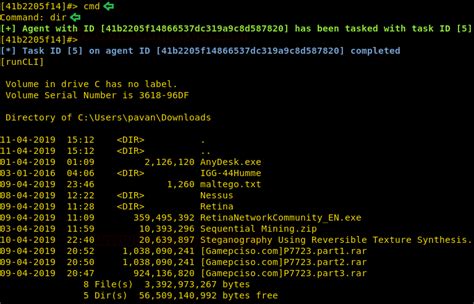 Command and Control with Dropbox C2