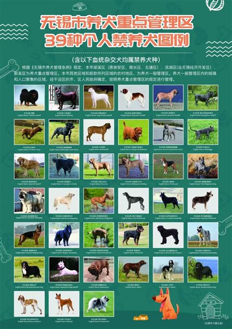 ★冰城禁养49个犬种 现有大型犬10月底前自行处理★ – 【人人分享-人人网】