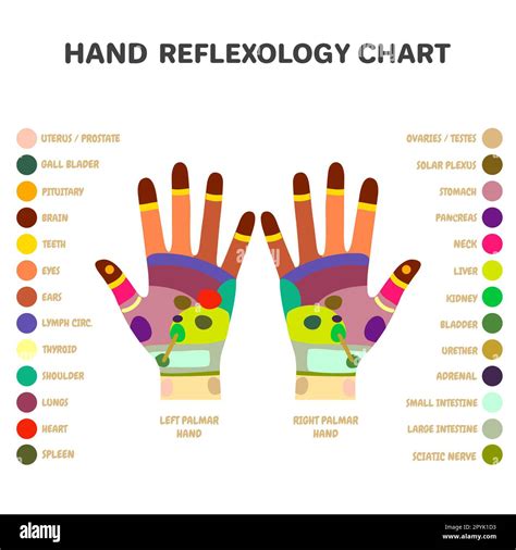 Reflexology hand massage points. acupuncture and acupressure points ...