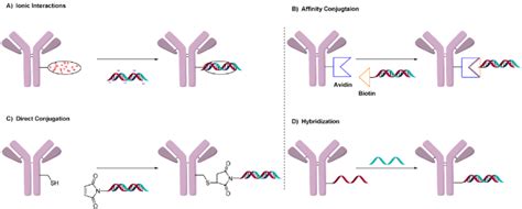 Image result for AOC Algorithm