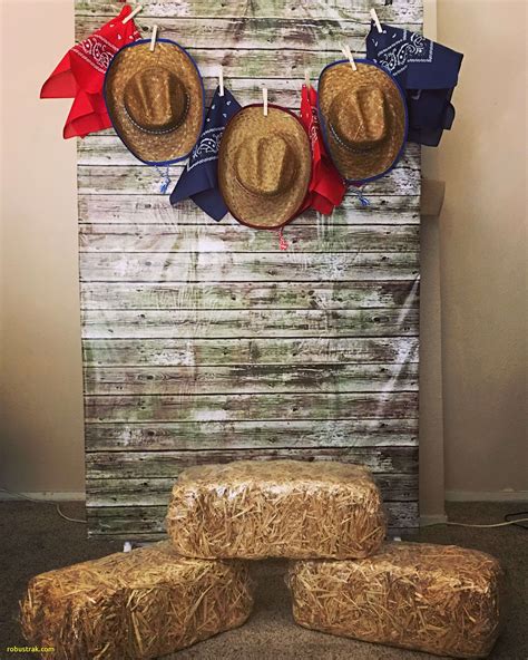 DIY backdrop out of a clothes rack and clamps | Cowboy theme party ...