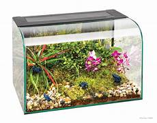 le exo terra exo terra habisphere terrarium de table lifestyle le exo terra exo terra habisphere terrarium de table lifestyle