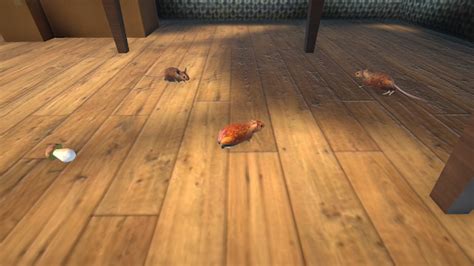 Java Hamster Simulator 的图像结果