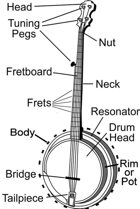 Image result for Method of String Bean Banjo