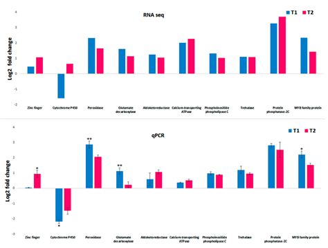 Transcriptome Profiling of Haloxylon persicum (Bunge ex Boiss and Buhse ...