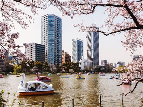 Travel Forum, Discussion Board for Talk and Chat - Tripadvisor