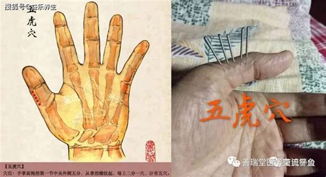 魔兽争霸《五虎将后传I》英雄定位和前期发育修真出装剧情流程攻略-游戏锤手游网