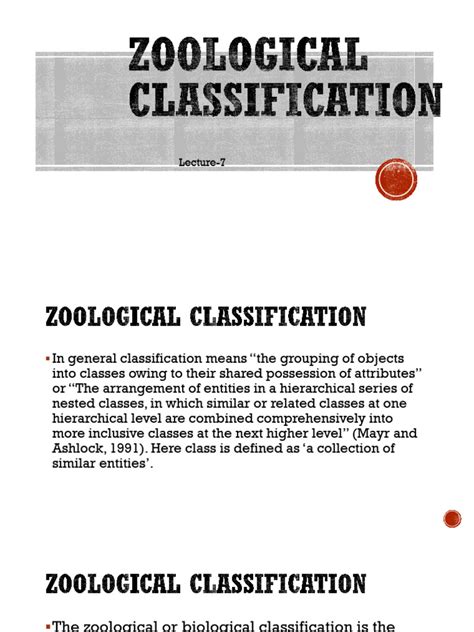 Zoological Classification 的图像结果