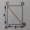 from the diagram area of a triangle abc by area of a square - Brainly.in