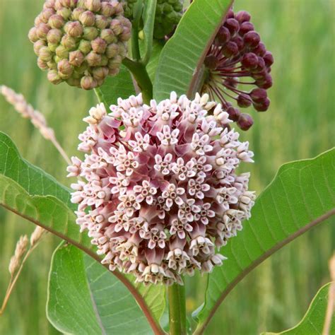 Kay Carlson posted on LinkedIn