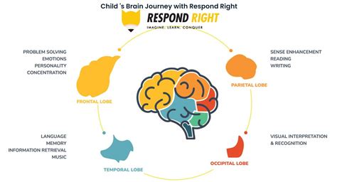 Image result for Right Brain Learning