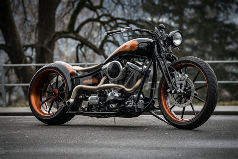 Motorcycling the Himalayas: The Adventure of a Lifetime, Mary D. Fisher ...