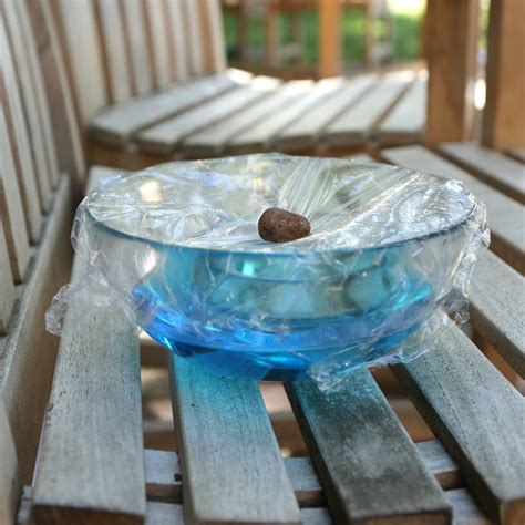 Image result for Environmental Science Experiments