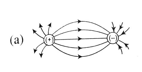Sketch field lines due to (i) two equal positive charges near each ...
