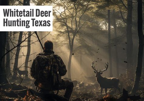 Texas Whitetail Deer Hunting Zones Map at Nancy Hansen blog