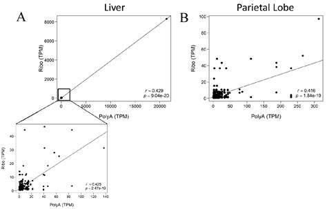 Comparison of Poly-A+ Selection and rRNA Depletion in Detection of ...