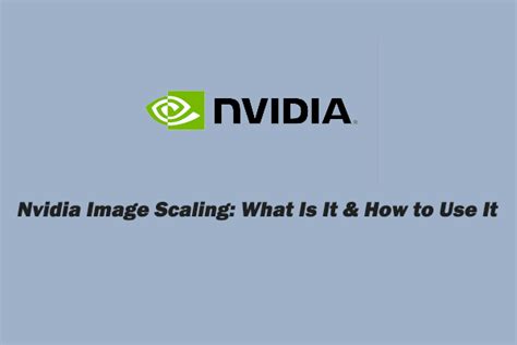 Image result for NVIDIA Magnification File