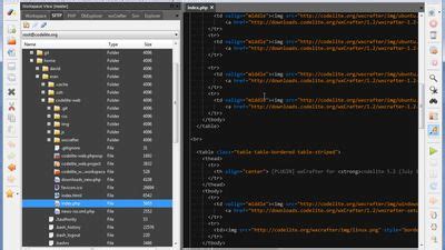 Image result for Codelite Features