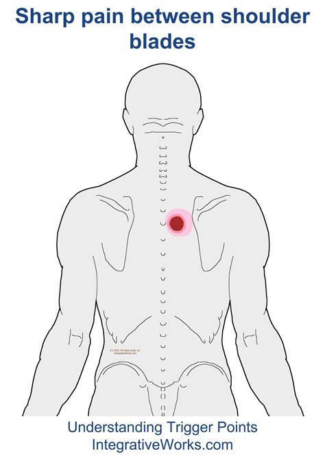 Sharp Stabbing Pain Under Right Shoulder Blade at Carlo Simmons blog