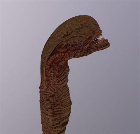 Image result for Alien Chestbuster Scene