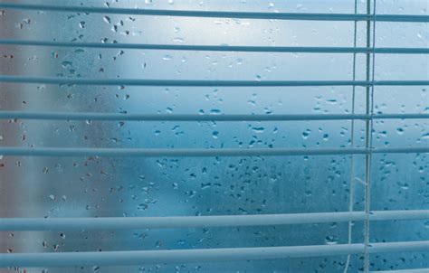 Image result for Humidity Example