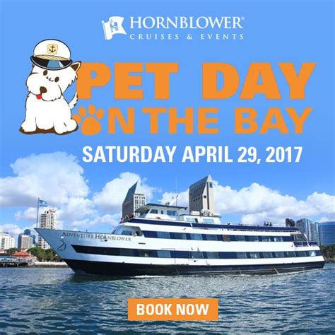 The Dog Lover's Guide to San Diego - San Diego Magazine | Pet day, Dog ...