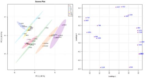 Attenuated Total Reflectance-Fourier Transform Infrared Spectroscopy ...