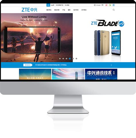 中兴通讯-成功案例-深圳风享网站排名优化公司