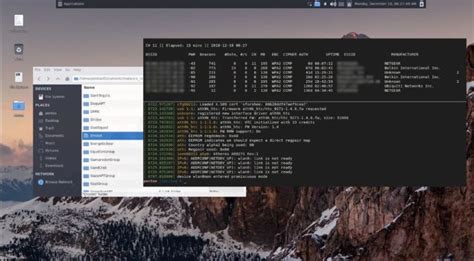 Image result for Linux Hacking OS