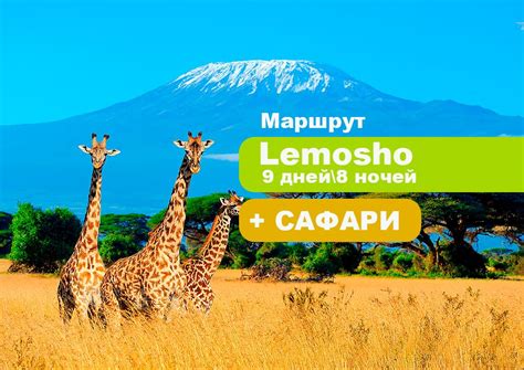 Восхождение на Килиманджаро с сафари и отдыхом на Занзибаре 2025 - 2026 ...