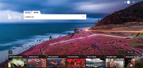 Bing国际版 的图像结果