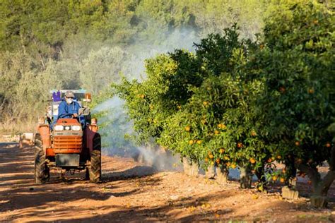 Organics Vs. Local 的图像结果