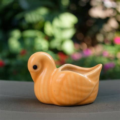 Small Yellow Duck Ceramic Planter – Plant Orbit