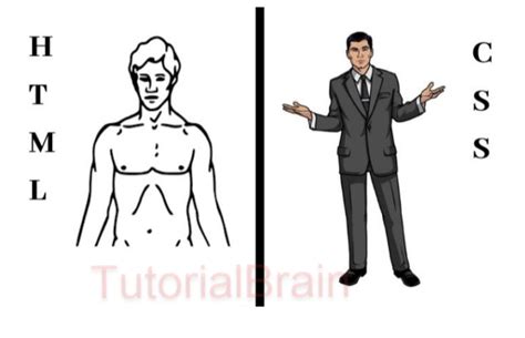 Image result for Contoh Program HTML Vs. CSS