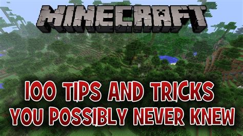 Image result for Cool Minecraft Java Edition Tricks