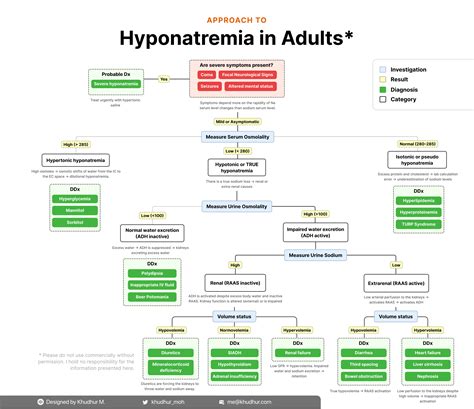 Hyponatremia Algorithm 的图像结果